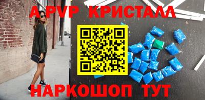 амф Кингисепп