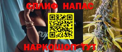 амф Кингисепп