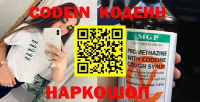 амф Кингисепп