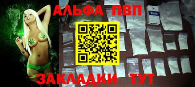 амф Кингисепп
