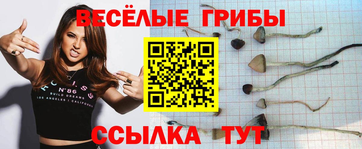 Галлюциногенные грибы ЛСД Костомукша